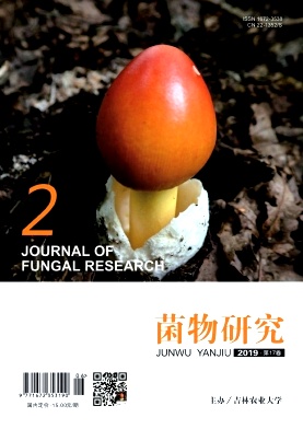 菌物研究